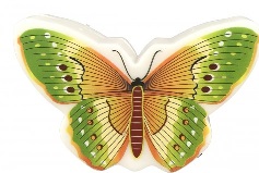 Ночник Camelion NL-239 "Бабочка" (светодиодный с выкл. 220V, 5W)