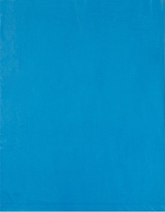 Пакеты д/заморозки 25х32см, 30 шт  (310983) (3 л, рулон),  "Рыжий кот"