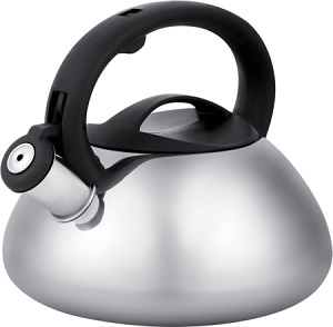 Чайник нерж. со свистком  REGENT  3.0 л (86-102) (индукция)